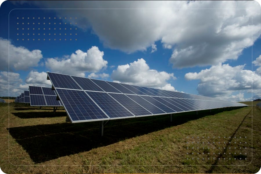 Обучение по экологии